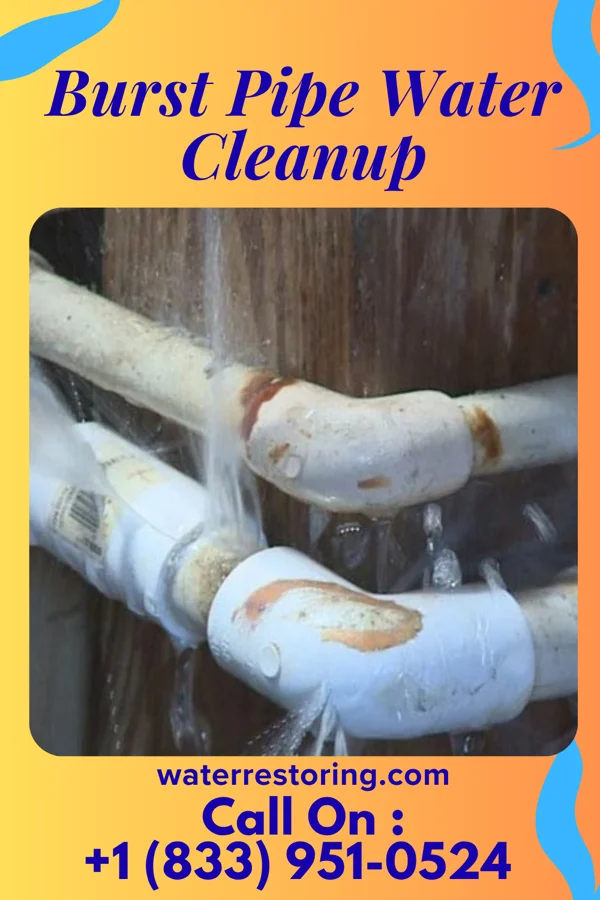 Burst Pipe Water Cleanup in Schertz, TX