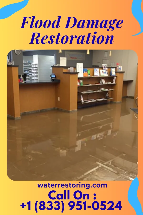 Flood Damage Restoration in Schertz, TX