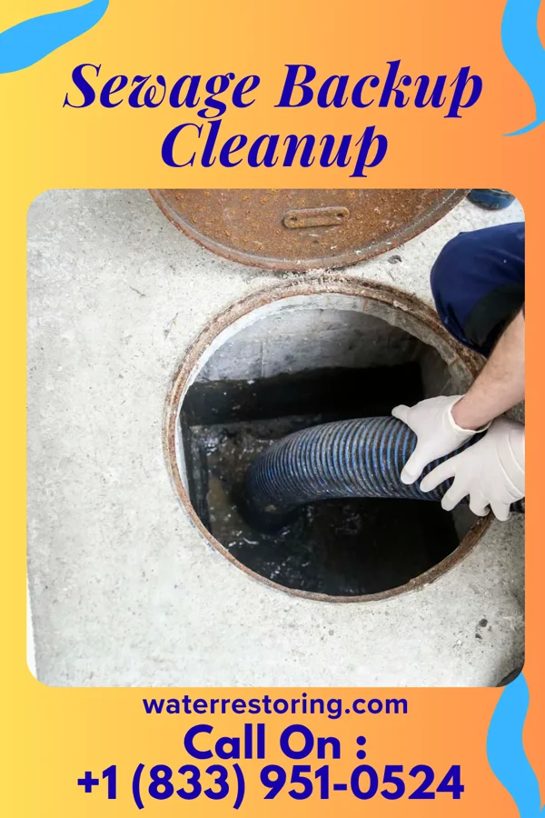 Sewage Backup Cleanup in Schertz, TX