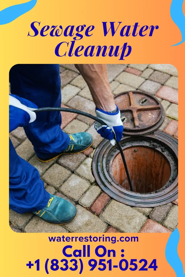 Sewage Water Cleanup in Schertz, TX